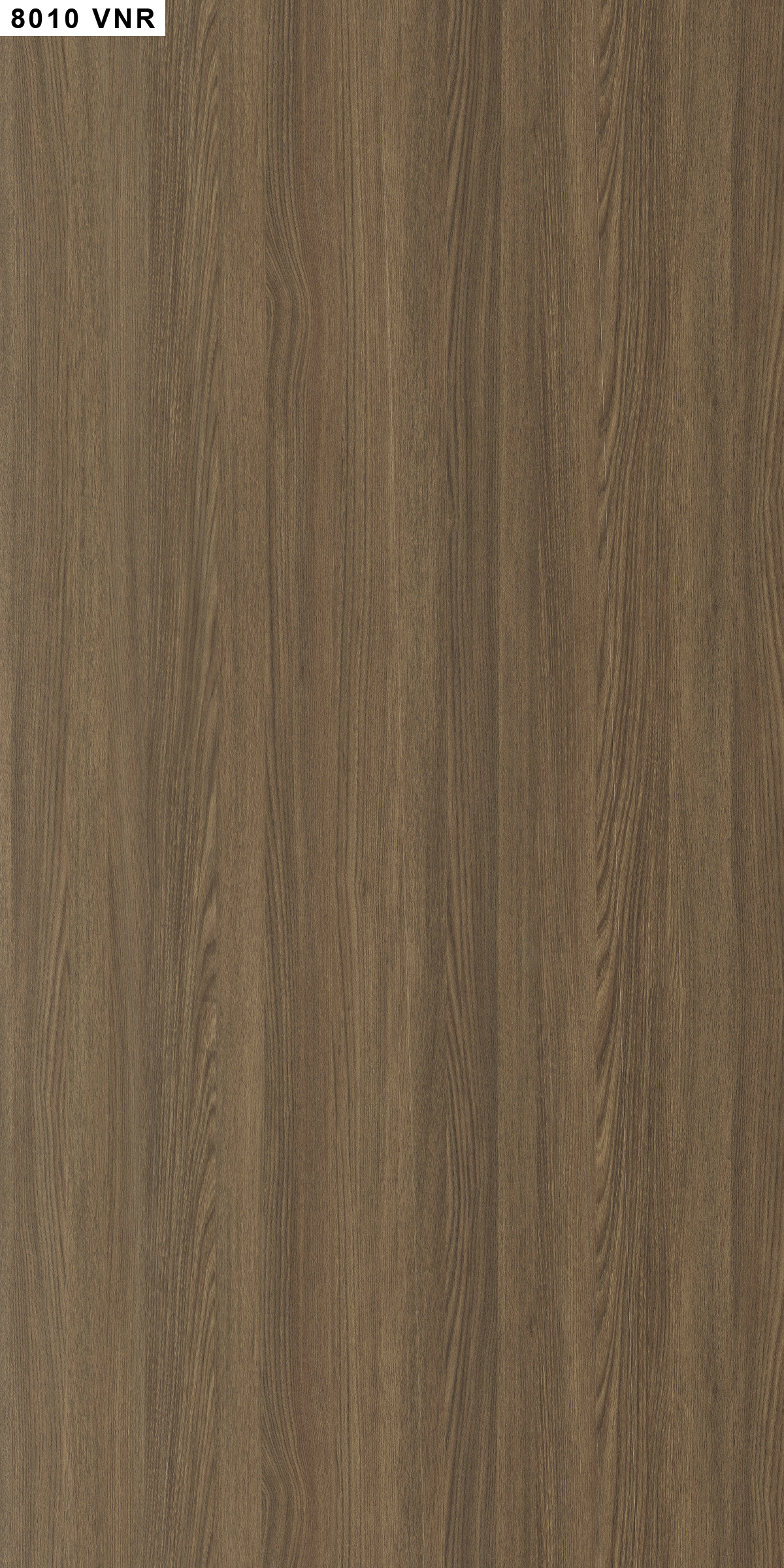 8010 AMERICAN ASH